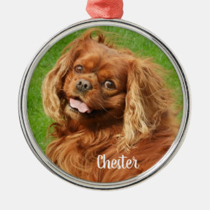 Ruby Cavalier King Charles Spaniel Dog Ornament Aus Metall