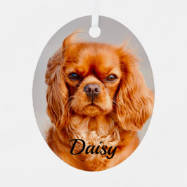 Ruby Cavalier King Charles Spaniel Dog Ornament Aus Metall
