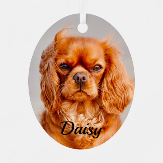 Ruby Cavalier King Charles Spaniel Dog Ornament Aus Metall (Vorderseite)