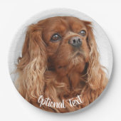 Ruby Cavalier King Charles Spaniel Dog Pappteller (Vorderseite)