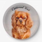 Ruby Cavalier King Charles Spaniel Dog Pappteller (Vorderseite)