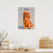 Ruby Cavalier King Charles Spaniel Dog Poster (Küche)