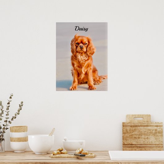 Ruby Cavalier King Charles Spaniel Dog Poster (Küche)