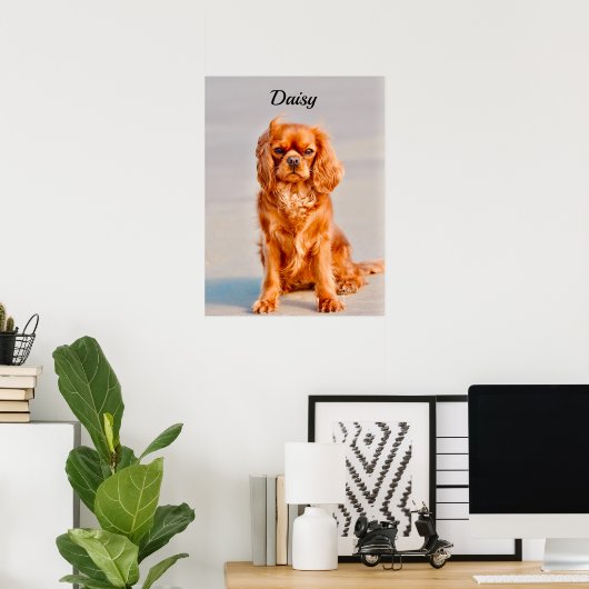 Ruby Cavalier King Charles Spaniel Dog Poster (Heimbüro)