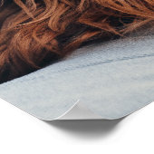 Ruby Cavalier King Charles Spaniel Dog Poster (Ecke)