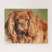 Ruby Cavalier King Charles Spaniel Dog Puzzle (Horizontal)