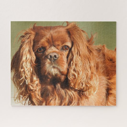 Ruby Cavalier King Charles Spaniel Dog Puzzle (Horizontal)