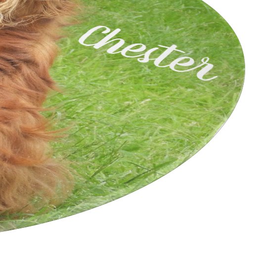 Ruby Cavalier King Charles Spaniel Dog Schneidebrett (Ecke)