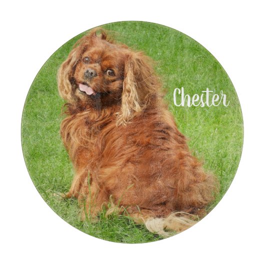 Ruby Cavalier King Charles Spaniel Dog Schneidebrett (Vorderseite)