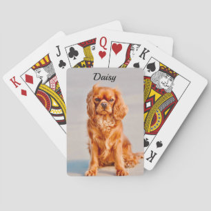 Ruby Cavalier King Charles Spaniel Dog Spielkarten
