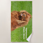 Ruby Cavalier King Charles Spaniel Dog Strandtuch (Vorderseite)