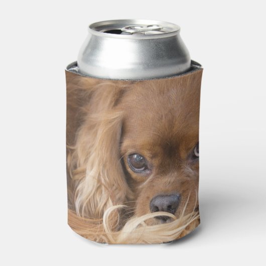 Ruby Cavalier King Charles Spaniel Dosenkühler (Kanne Vorderseite)