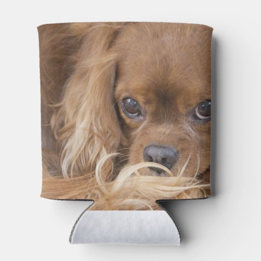 Ruby Cavalier King Charles Spaniel Dosenkühler (Rückseite)