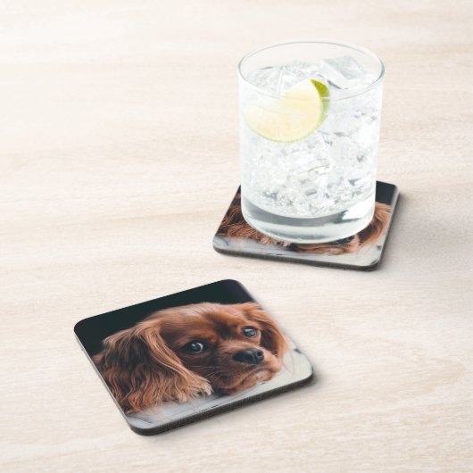 Ruby Cavalier King Charles Spaniel Getränkeuntersetzer (Rechte Seite)