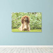 Ruby Cavalier King Charles Spaniel im Gras Leinwanddruck (Insitu (Holzboden))