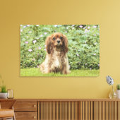 Ruby Cavalier King Charles Spaniel im Gras Leinwanddruck (Insitu (Wohnzimmer))