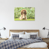 Ruby Cavalier King Charles Spaniel im Gras Leinwanddruck (Insitu (Schlafzimmer))