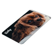 Ruby Cavalier King Charles Spaniel Magnet (Linke Seite)