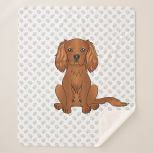 Ruby Cavalier King Charles Spaniel & Pfoten Sherpadecke