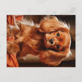 Ruby Cavalier King Charles Spaniel Postkarte