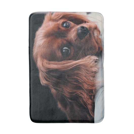 Ruby Cavalier King Charles Spaniel Puppy Dog Badematte (Vorderseite Vertikal)