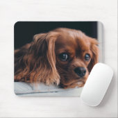 Ruby Cavalier King Charles Spaniel Puppy Dog Mousepad (Mit Mouse)