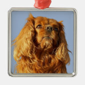 Ruby Cavalier King Charles Spaniel Puppy Dog Ornament Aus Metall (Vorne)