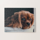 Ruby Cavalier King Charles Spaniel Puppy Dog Puzzle (Horizontal)