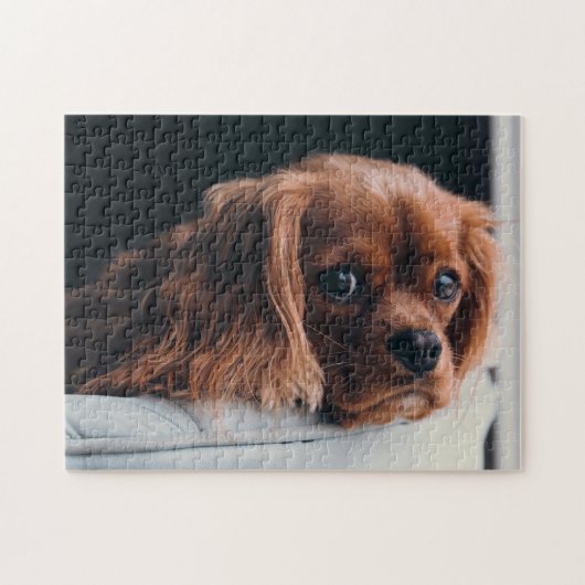 Ruby Cavalier King Charles Spaniel Puppy Dog Puzzle (Horizontal)