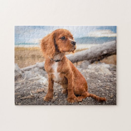 Ruby Cavalier King Charles Spaniel Puppy Dog Puzzle (Horizontal)