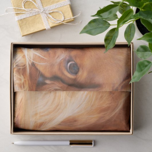 Ruby Cavalier King Charles Spaniel Seidenpapier (Geschenk)