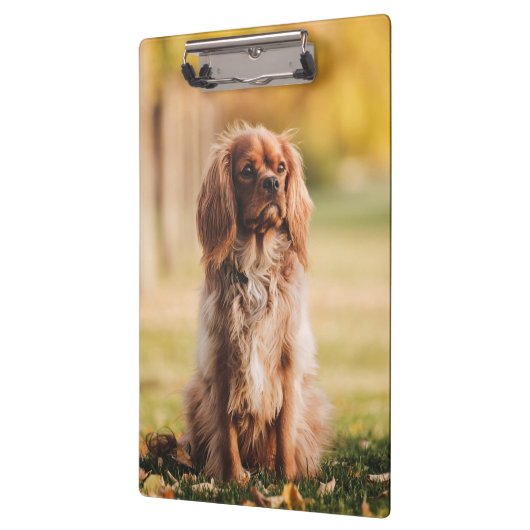 Ruby Cavalier King Charles Spaniel Welpe Hund Klemmbrett (Links)