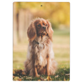 Ruby Cavalier King Charles Spaniel Welpe Hund Klemmbrett (Rückseite)