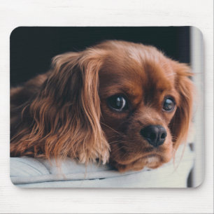 Ruby Cavalier King Charles Spaniel Welpe Hund Mousepad