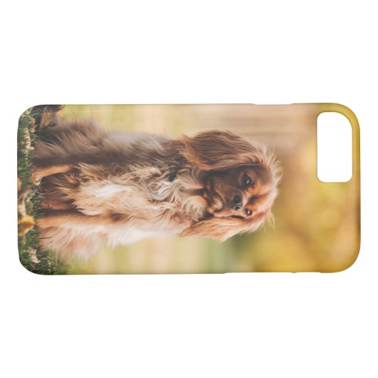 Ruby Cavalier König Charles Spaniel Hund Case-Mate iPhone Hülle (Rückseite (Horizontal))