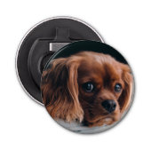 Ruby Cavalier König Charles Spaniel Hund Flaschenöffner (Vorderseite)