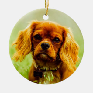 Ruby Cavalier König Charles Spaniel Hund Keramik Ornament