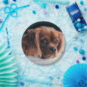 Ruby Cavalier König Charles Spaniel Hund Pappteller (Party)