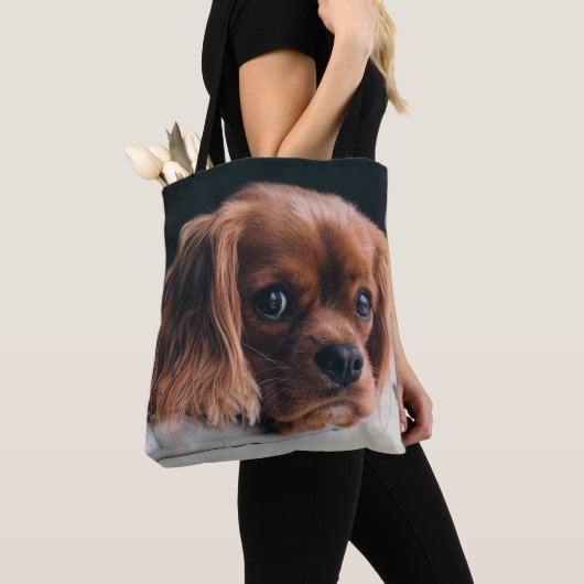 Ruby Cavalier König Charles Spaniel Hund Tasche (Von Nahem)