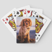 Ruby Cavalier König Charles Spaniel im Sonnenunter Spielkarten (Rückseite)