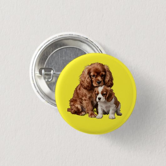 Ruby Cavalier Spaniel und ihr Blenheim-Welpe Button (Vorne & Hinten)