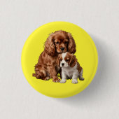 Ruby Cavalier Spaniel und ihr Blenheim-Welpe Button (Vorderseite)