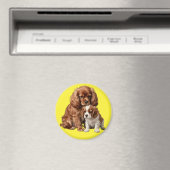 Ruby Cavalier Spaniel und ihr Blenheim-Welpe Magnet (In Situ (Geschirrspüler))