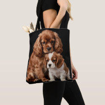 Ruby Cavalier Spaniel und ihr Blenheim-Welpe