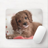 Ruby Cavapoo Puppy Dog Mousepad (Mit Mouse)