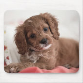 Ruby Cavapoo Puppy Dog Mousepad (Vorne)