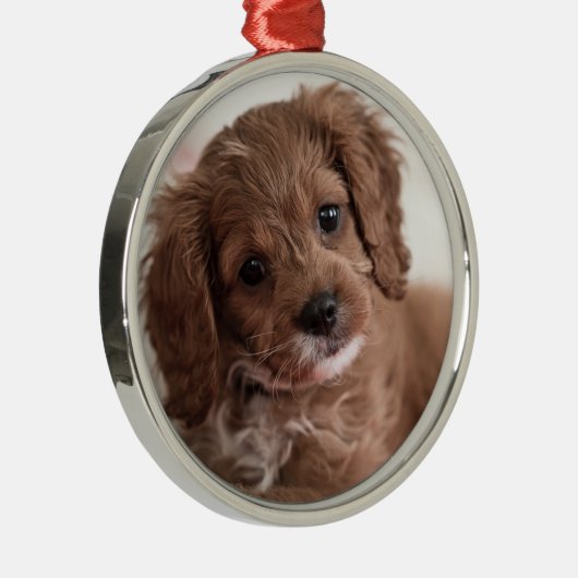 Ruby Cavapoo Puppy Dog Ornament Aus Metall (Rechts)