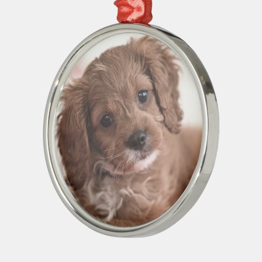 Ruby Cavapoo Puppy Dog Ornament Aus Metall (Links)