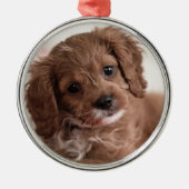 Ruby Cavapoo Puppy Dog Ornament Aus Metall (Vorne)