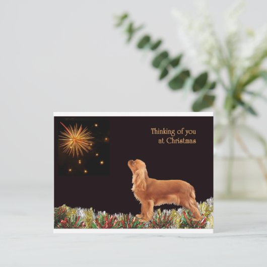 Ruby Christmas Cavalier Feiertagspostkarte (Stehend Vorderseite)